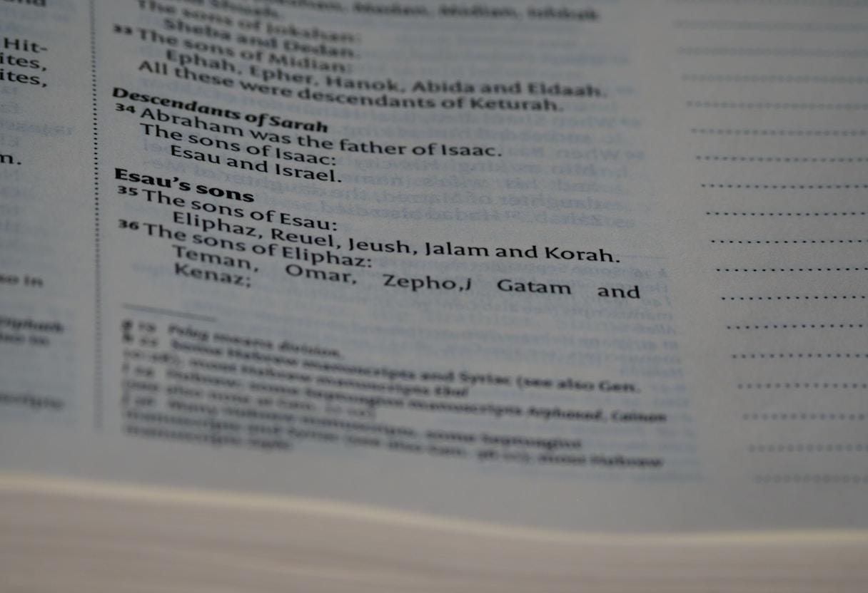 Overzicht van stedenbouw, toelatingen en veiligheid voor reclame-affichage